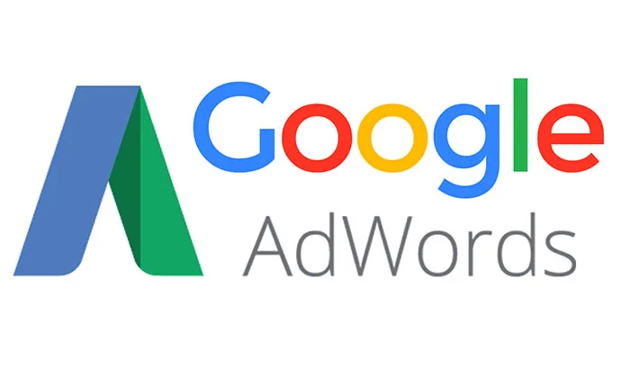 
SEO Google Search engine service Provider|Digital Social Media Marketing|Professional Google ADWORDS Management company inIndia 