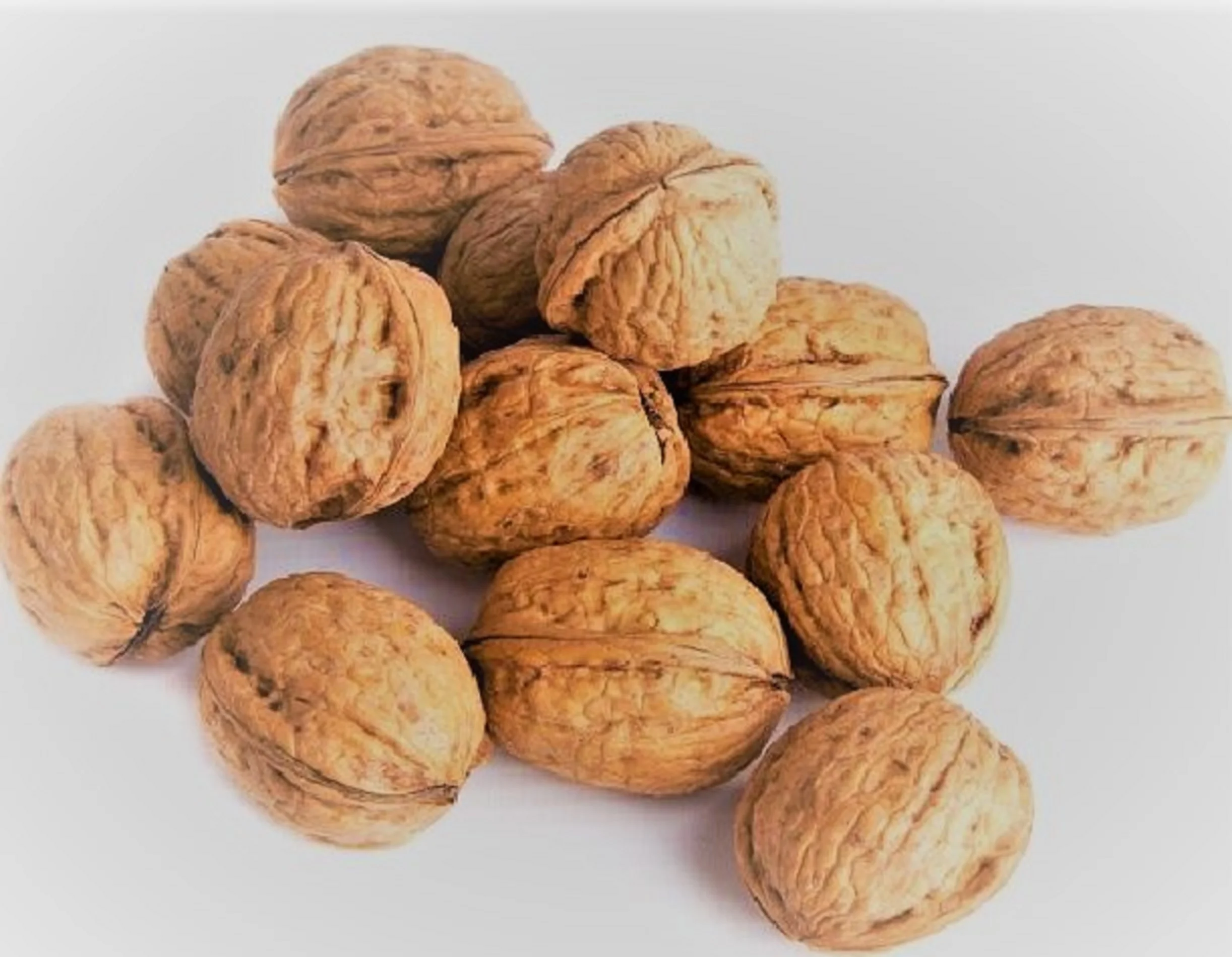 walnut.jpg