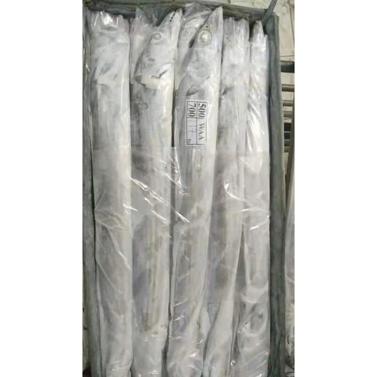 
Frozen Largehead Hairtail Frozen Ribbon Fish 