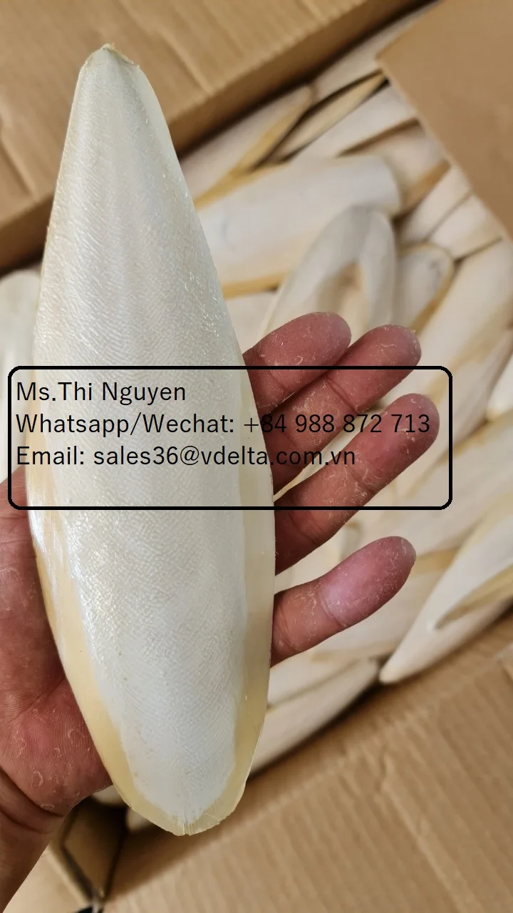 Оптовая продажа костей для морской Слепки птиц и корма животных/Ms.Thi Нгуен + 84 988 872 713