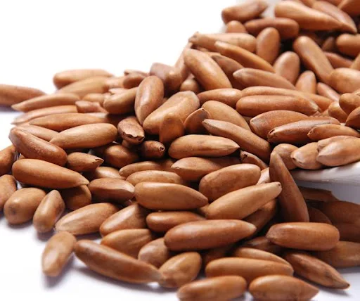 Wholesale Best Quality Pine Nuts For Sale In Cheap Price