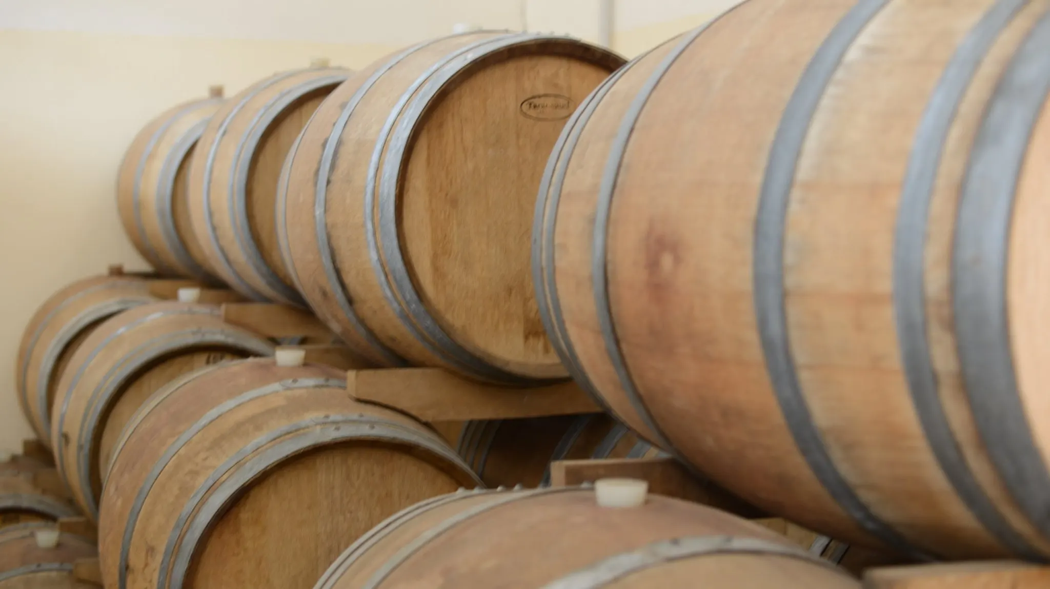 Высококачественное итальянское вино OEM | Черное Lisca Bianca Syrah 75 cl 1 коробка включает 12