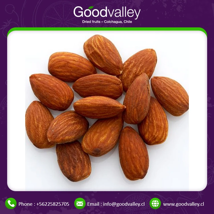 Top Grade Almond Nuts Raw Nutrition Organic Almond Nuts for Healthy Fats