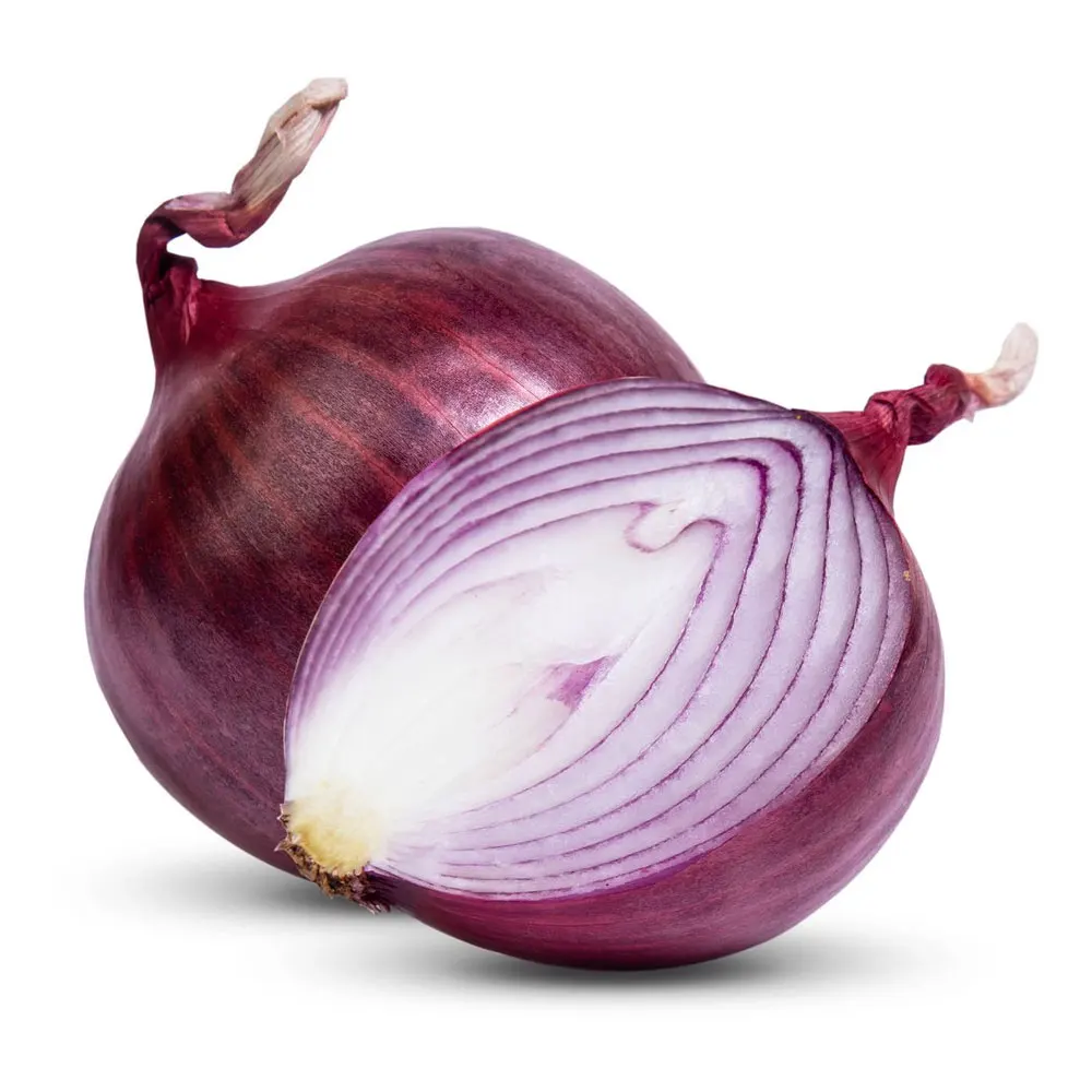 New Season Factory Direct Supply 100% Top High Quality Cheap Price Fresh Vegetable Large size Onion For Sale