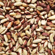 
100% PREMIUM QUALITY BRAZIL NUT AVAILABLE 