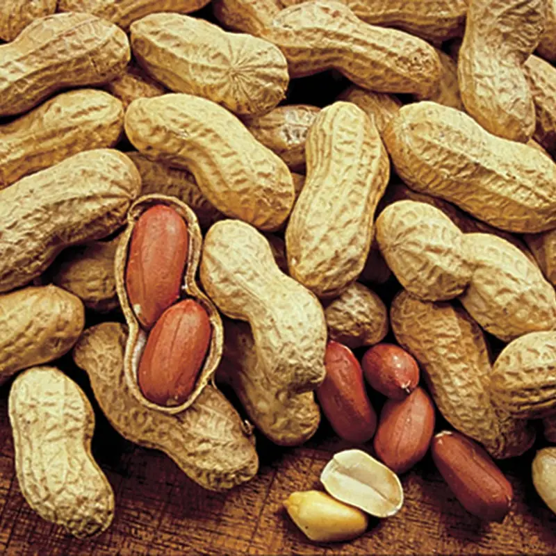 
Buy 100% Organic Peanuts 