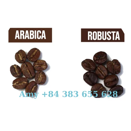 
WHOLE BEANS COFFEE FROM VIETNAM FOR EXPORTING - AMY +84 383 655 628 