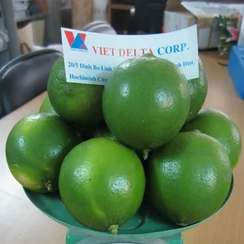 
LEMON SEEDNESS USED SALES FROM VIETNAM YUKI NGUYEN +84 37968256 