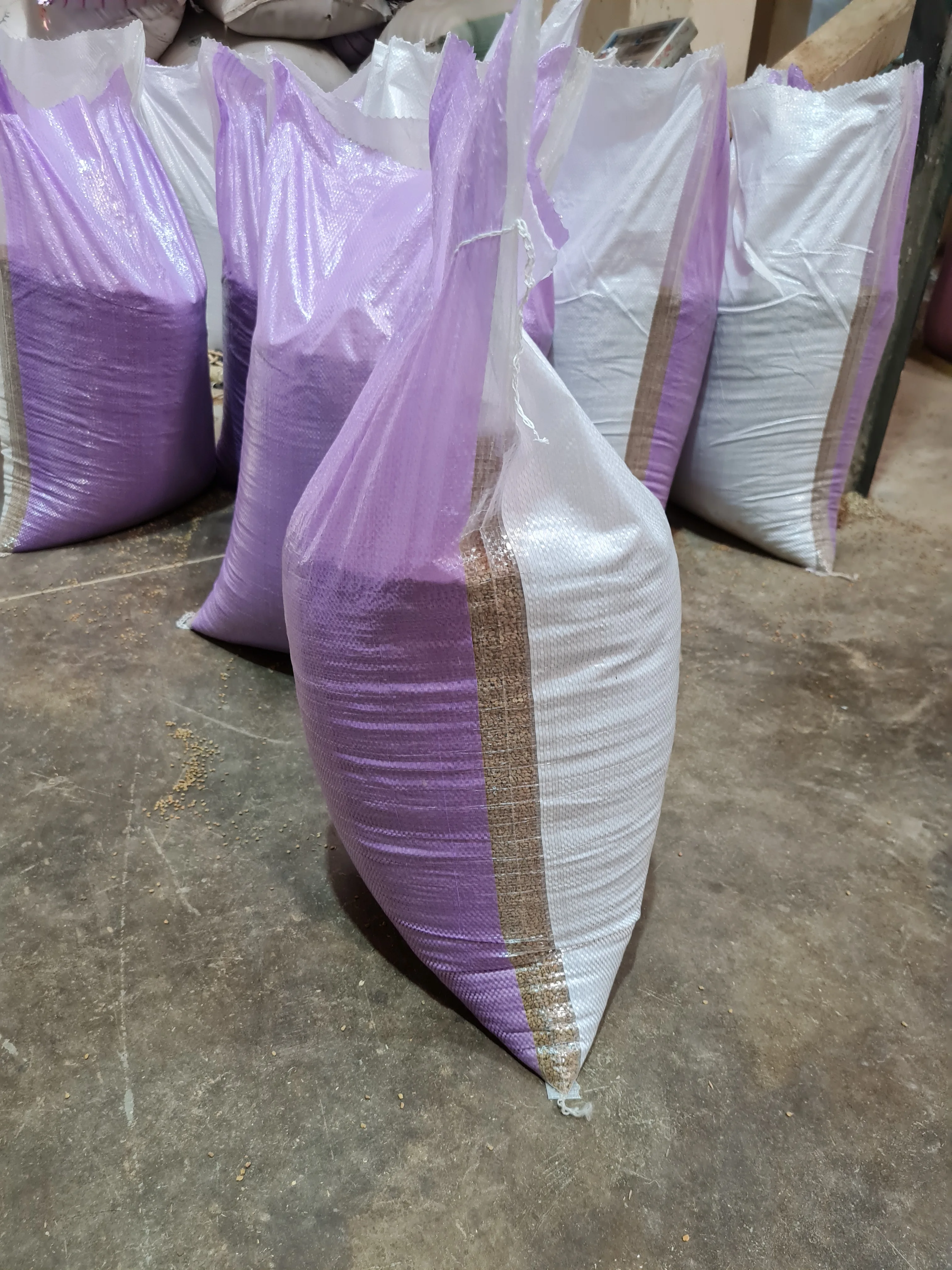 Egyptian Fenugreek seeds sortex cleaned 99.9%