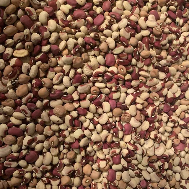 
Cowpea Cow peas machine cleaned polished red White Seeds Black Eye/wholesale Quality White Eyed Pea Organic High Grade Brand 