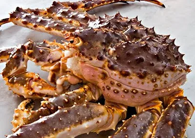 Живой красный королевский Краб живой