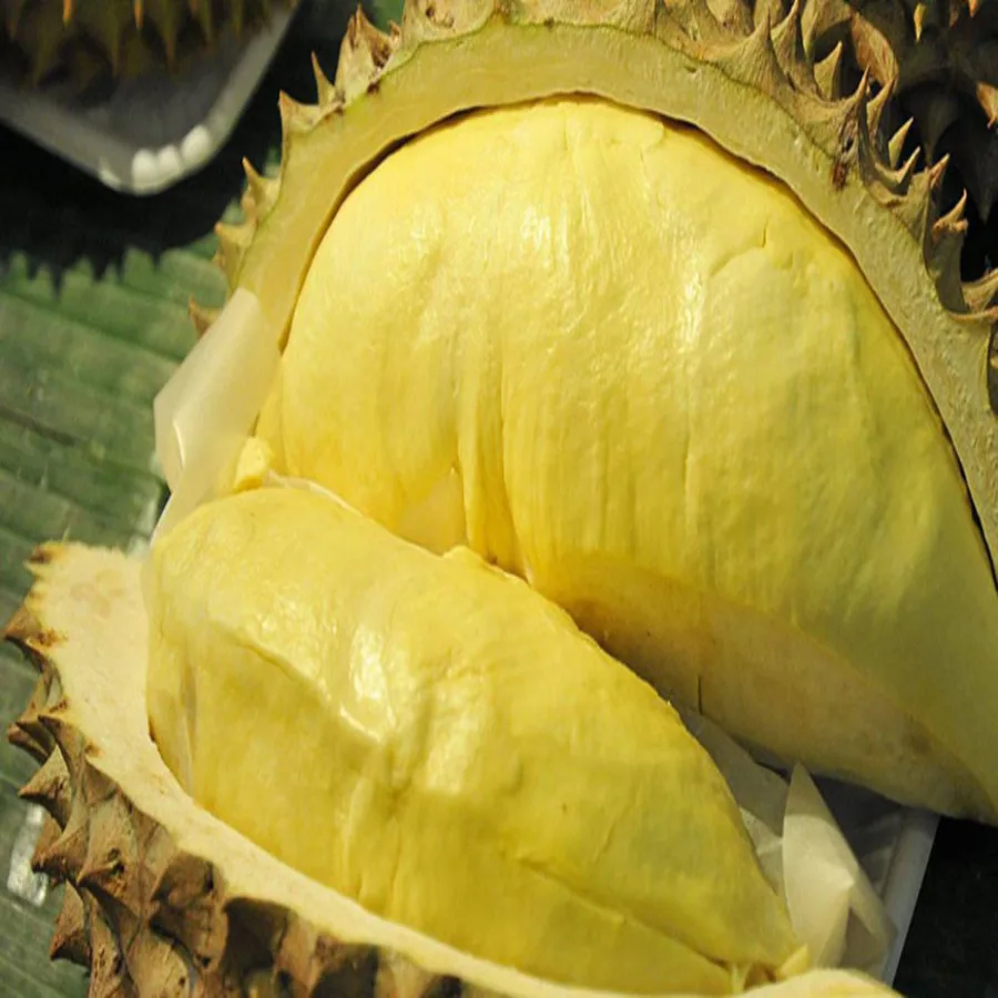 
Durians Fresh Fruit with High Quality 