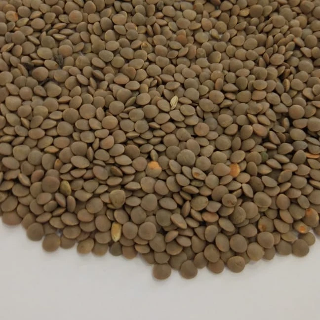 
price red green lentils 
