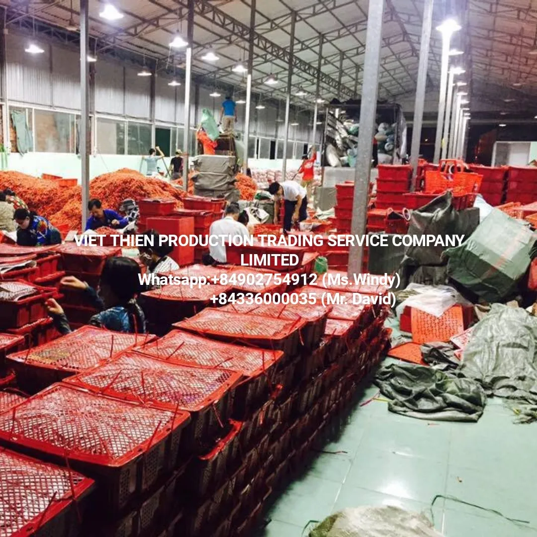 chili frozen wholesale in Vietnam with high quality and cheap price available in bulk meet export standard