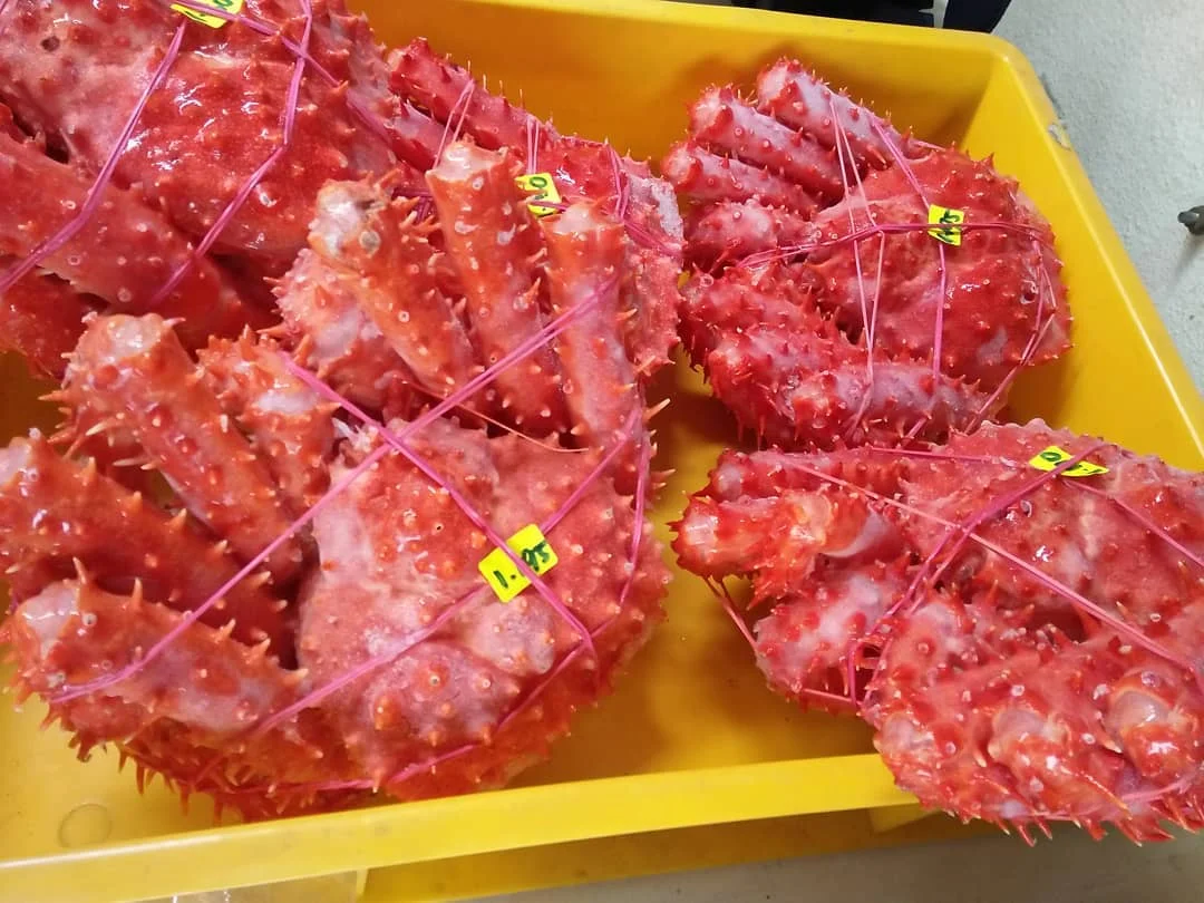 Свежий красный король Краб свежий/замороженный/живой крабы на продажу