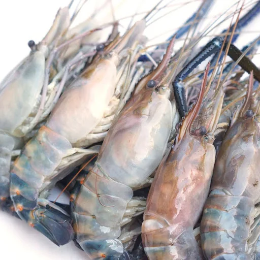 Hot Sale Seafood Frozen Vannamei Shrimps With Cheap Price , Quality White Prawns For Sale