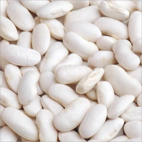 WHITE KIDNEY BEANS LONG SHAPE BIG WHITE KIDNEY BEANS/WHITE KIDNEY BEANS LARGE SIZE 2020 NEW CROP