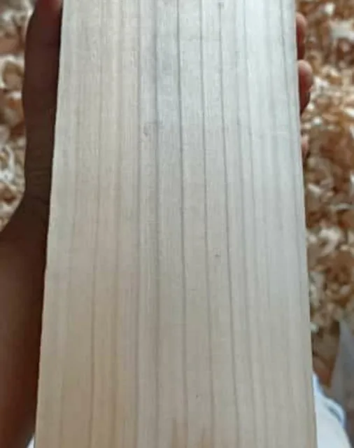 High Quality New Design Professional English Willow Made Exclusive Cricket Bat for Cricket Lovers Sports Item at Wholesale Price