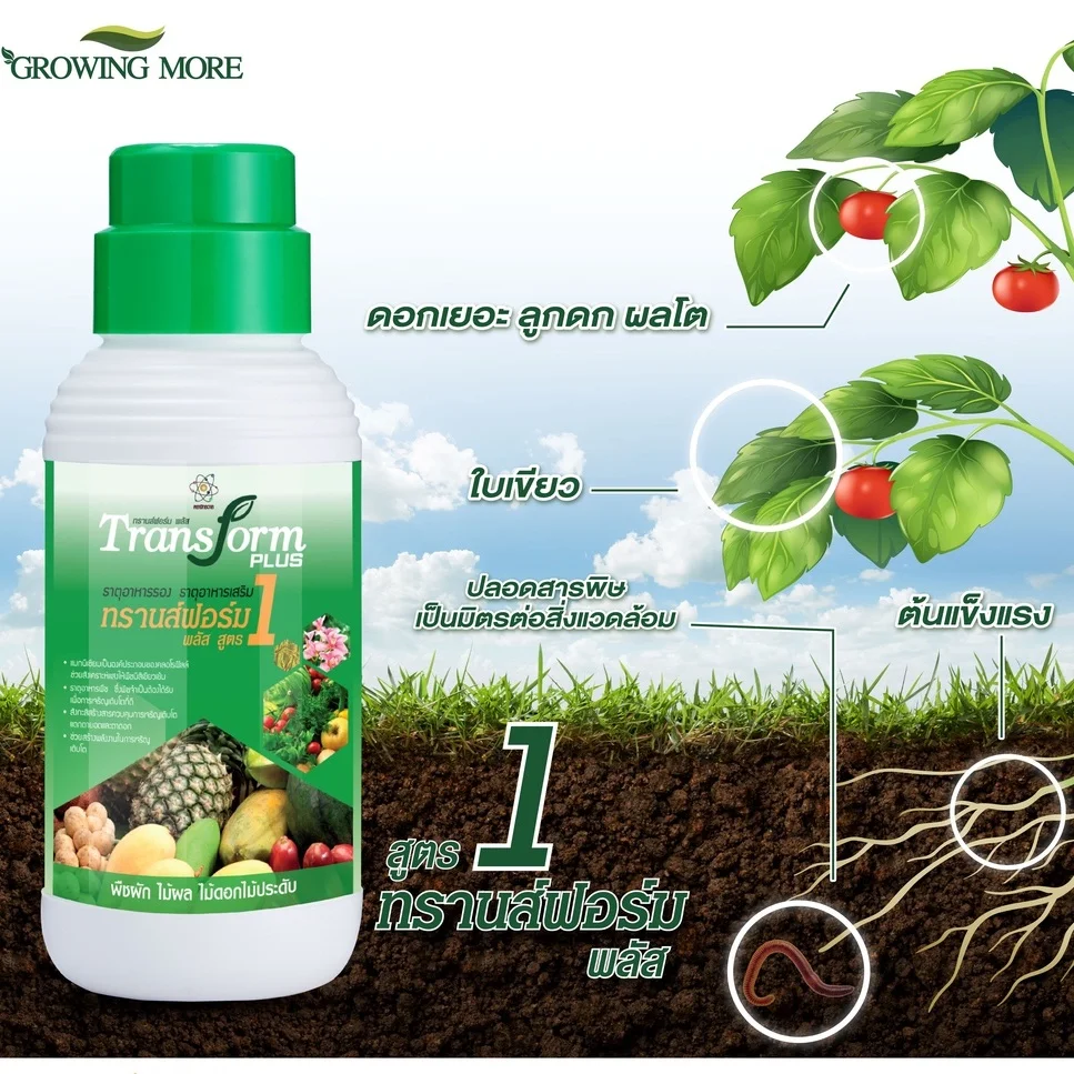 Manufacturers TRANSFORM PLUS 1 Liquid Fertilizer Plant Supplement Agrochemicals Bottle Best Quality Thailand for Export