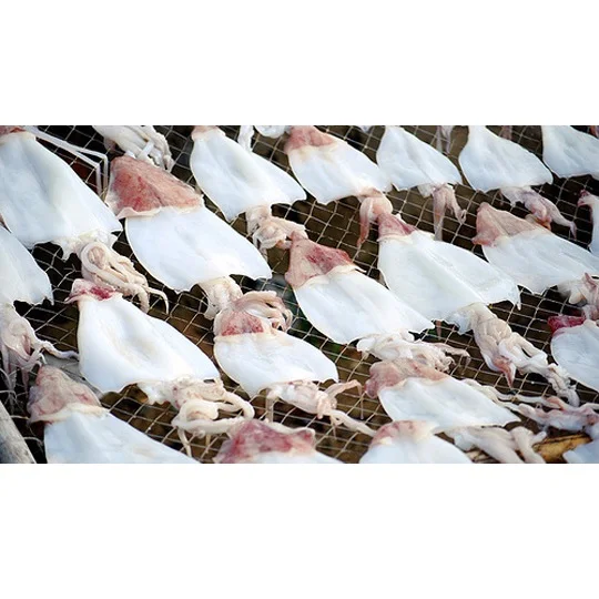Hot Selling Fresh Natural Seafood Low-Fat Air-Dried Customizable Tough Tender Dried Squid For Cook From Private Label In Vietnam