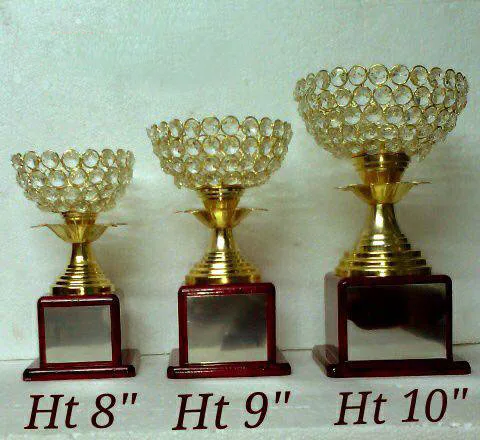 trophy  batsman  for cricket tournament school college