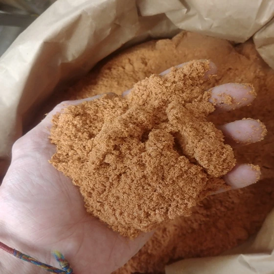Fish Meal 2.jpg