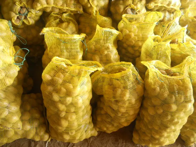 Common Fresh Potatoes For Sale Cheap Price Irish Potatoes