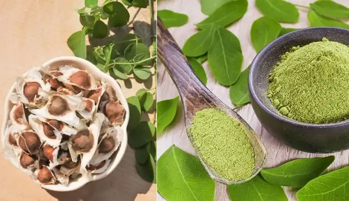 MORINGA LEAF POWDER 5:1 10:1/ Moringa Oleifera Seeds