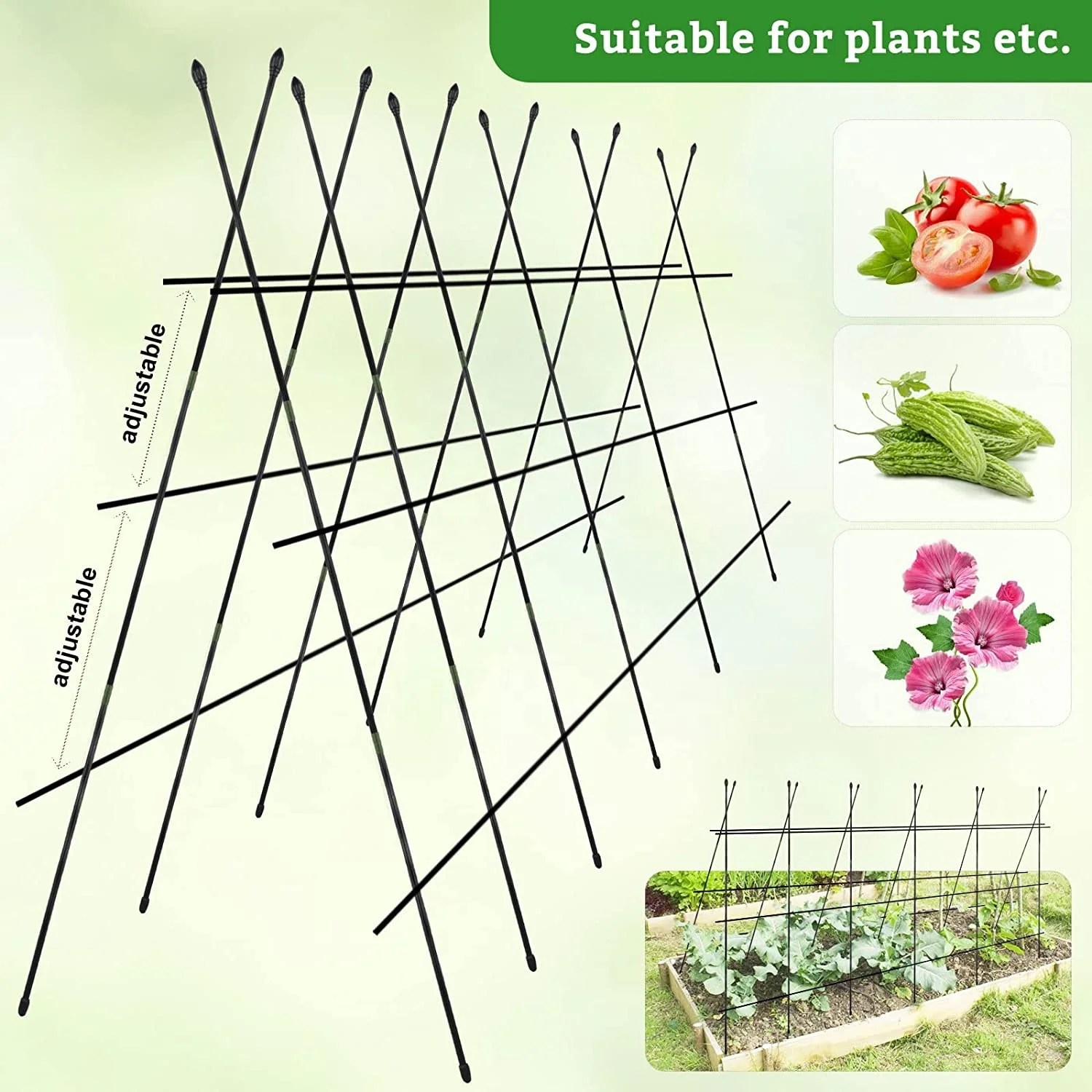 Multi-function Plant Support Cage