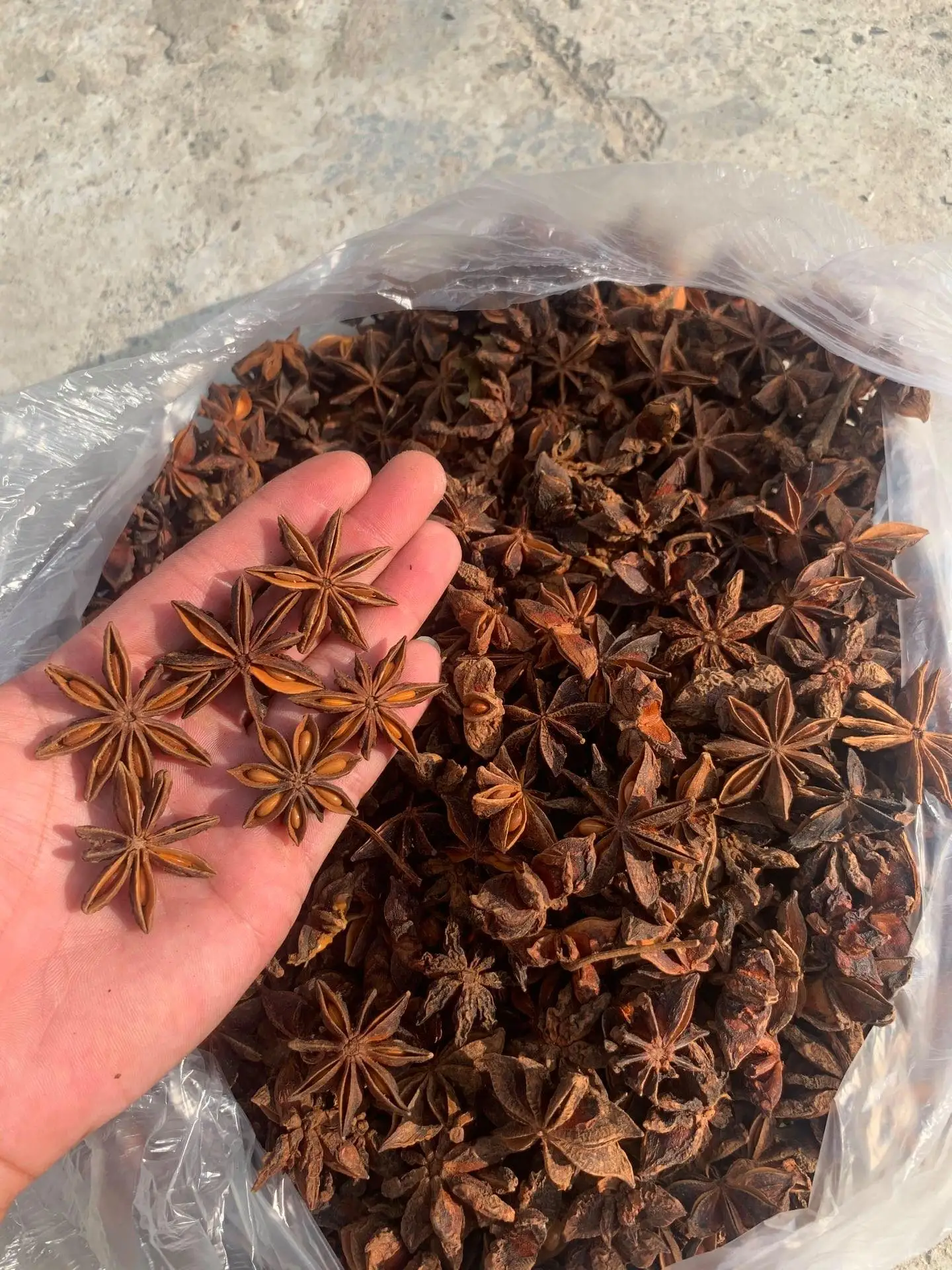VIET NAM STAR ANISE GOOD QUALITY BEST PRICE FROM MANUFACTURER Ms Lynn +84 333 421 999