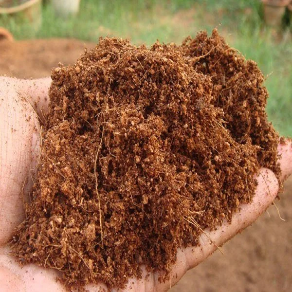 Coconut Fiber coir.jpg