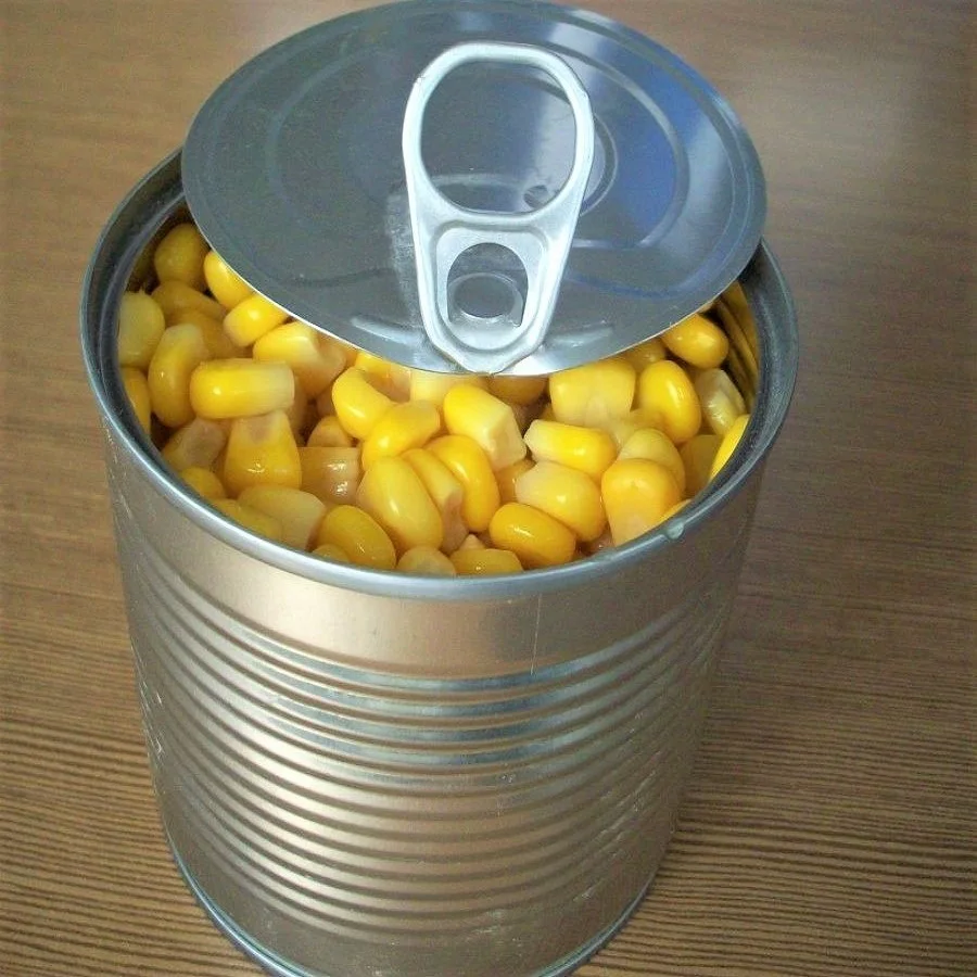 Wholesale Canned Sweet Kernel Corn-Best Quality Sweet Canned Corn for Sale
