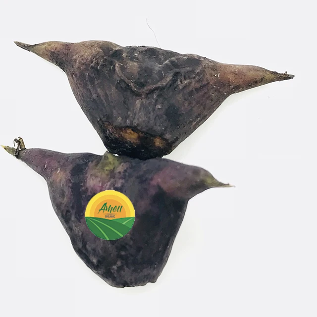 HIGH QUALITY WATER CALTROP FROM VIET NAM