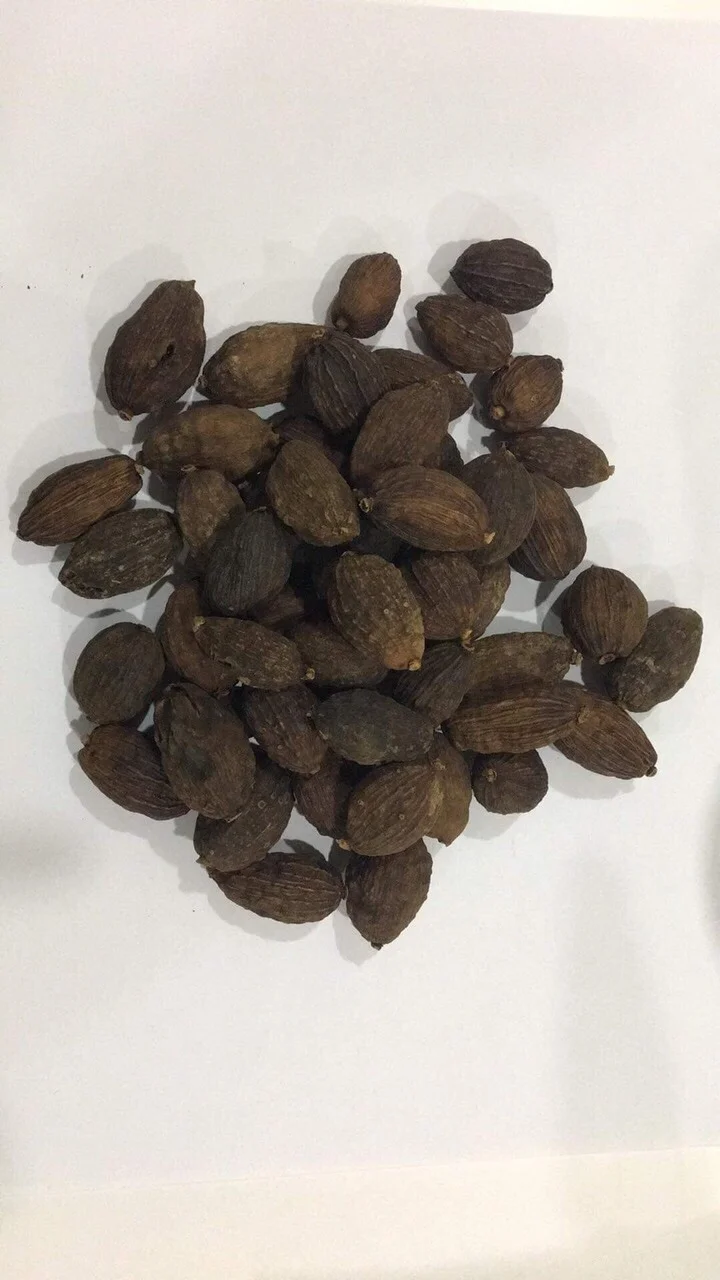 Black Cardamon/ Cardamon Seed/ Amomum Tsao-ko New Crop 2022