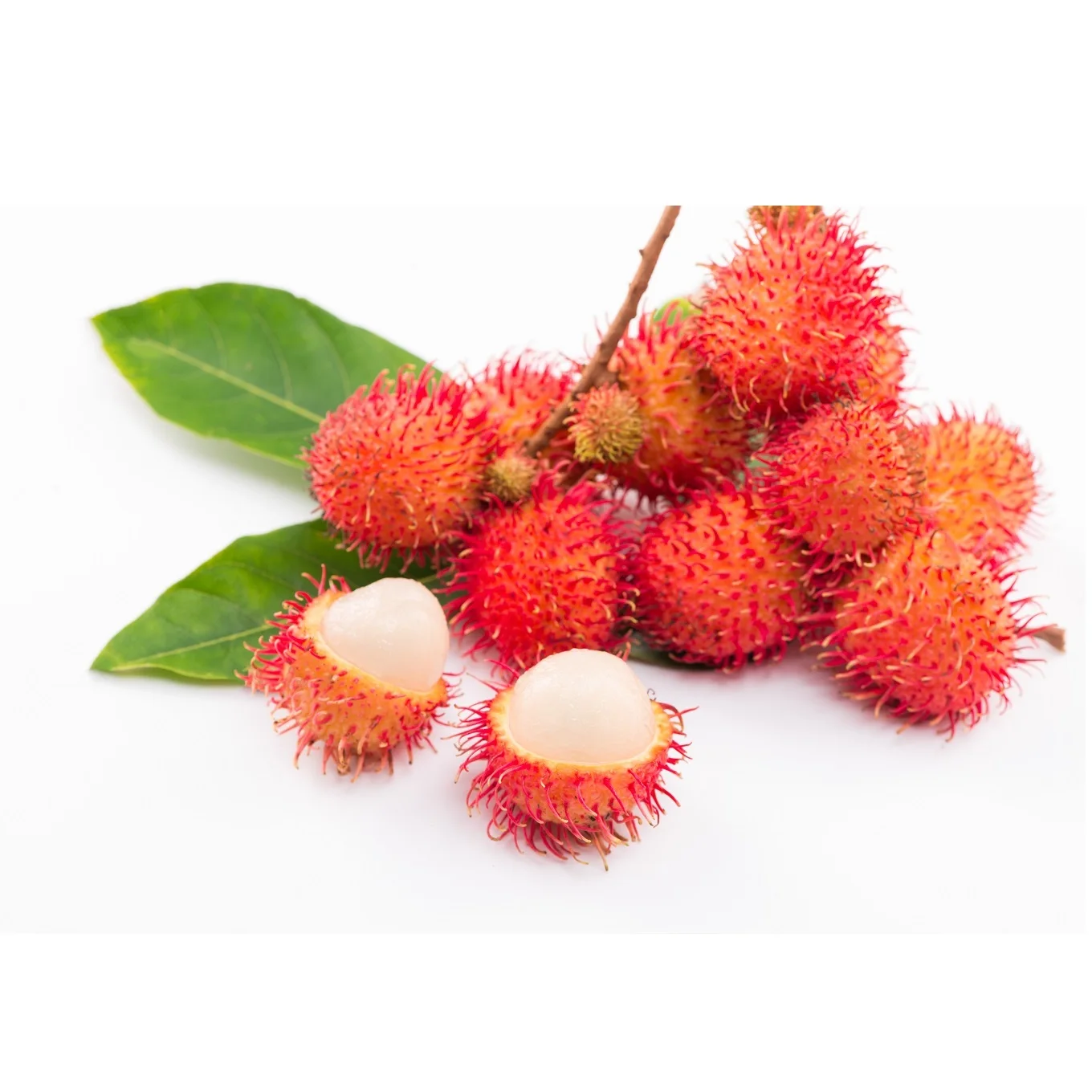 Hot Sale 28-35 Pieces/kg Common Cultivation Type Carton Box Packaging Sweet Taste Rambutan Export From Vietnam