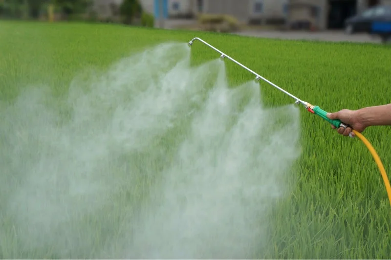 Professional Gasoline Knapsack Sprayer-Double Type, backpack sprayer