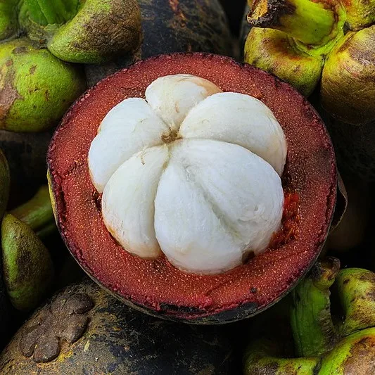 
Mangosteen Fruit With Good Price / Fresh Fruit The Top Recommend (Julia +84 984 650 841) 