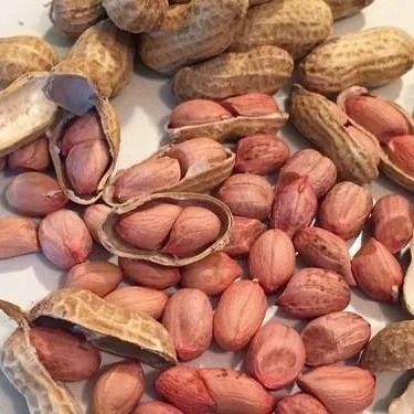 High Quality Sun Dried Peanut At Attractive Prices