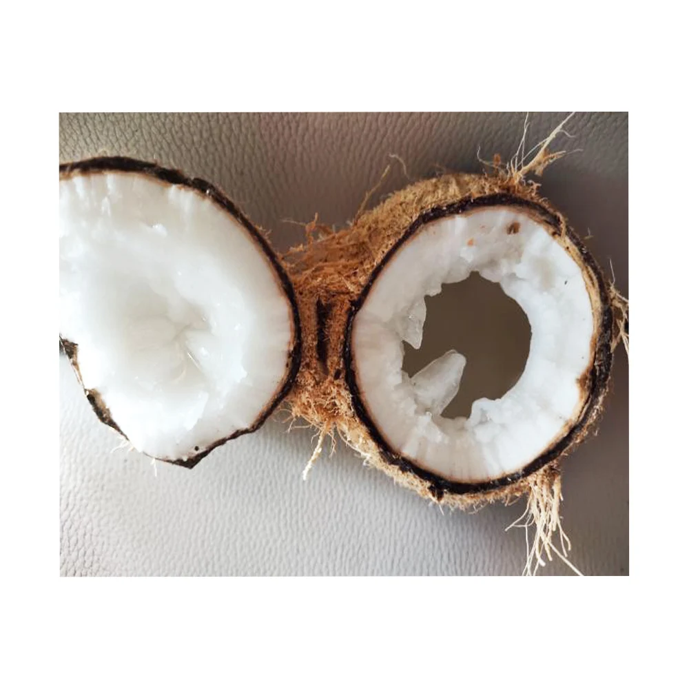 Premium Quality Macapuno Makapuno Best Fresh Coconut for Making Dessert Good Smell and Chewy Texture  From Thailand