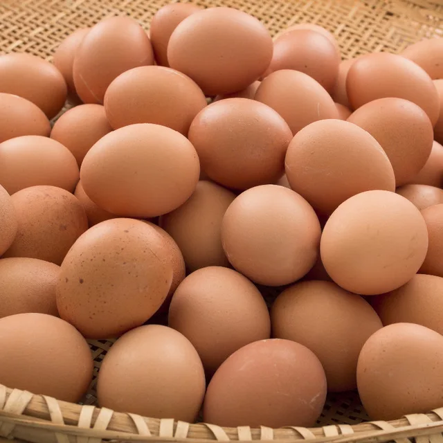 Best Quality Organic Fresh Chicken Table Eggs available