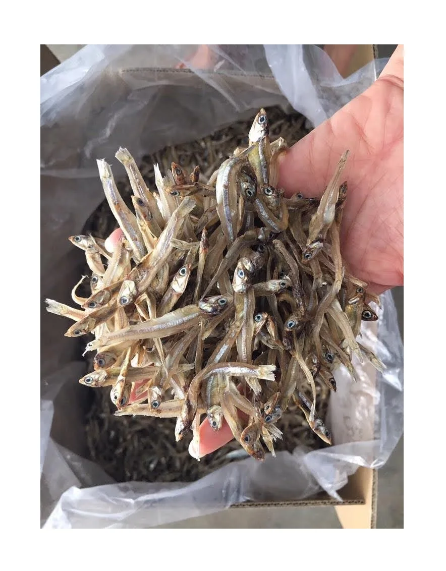 Распродажа сушеных анчоусов высокого качества по лучшей цене
