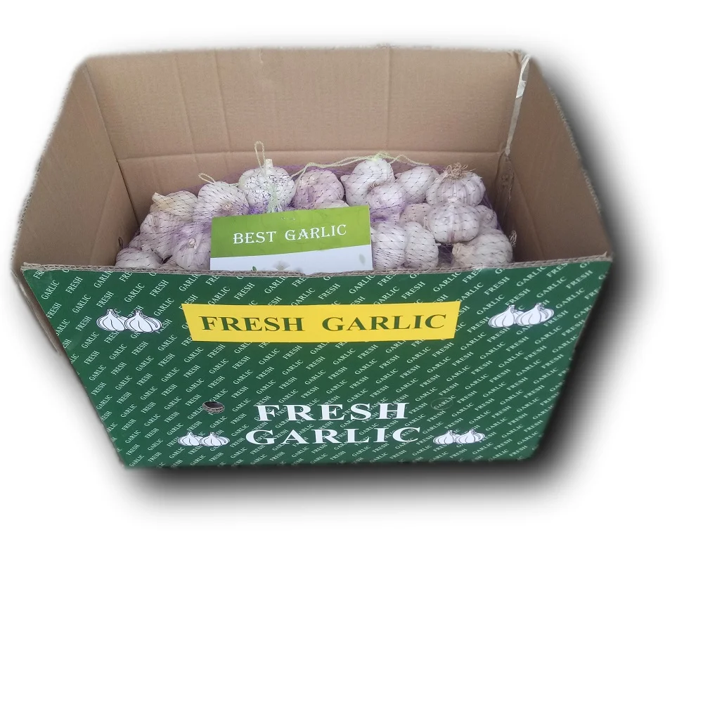 Hot sale size 5.0 up fresh garlic normal white