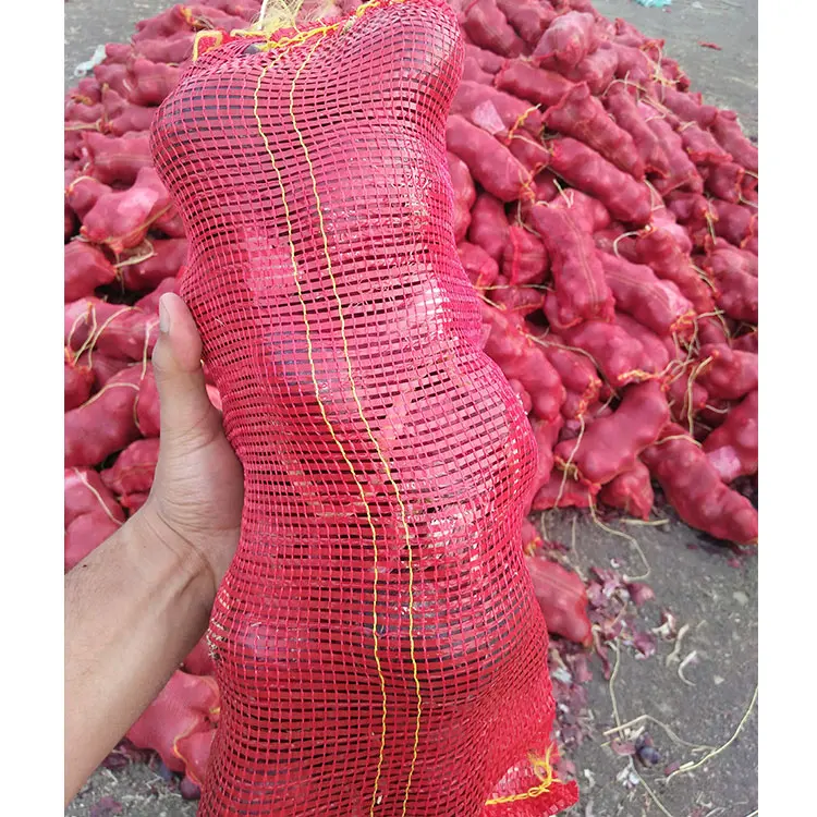 
Fresh Holland Yellow Onion 