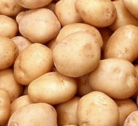 100% Top High Quality Cheap Price Pakistan Made Fresh Red Potato For Sale