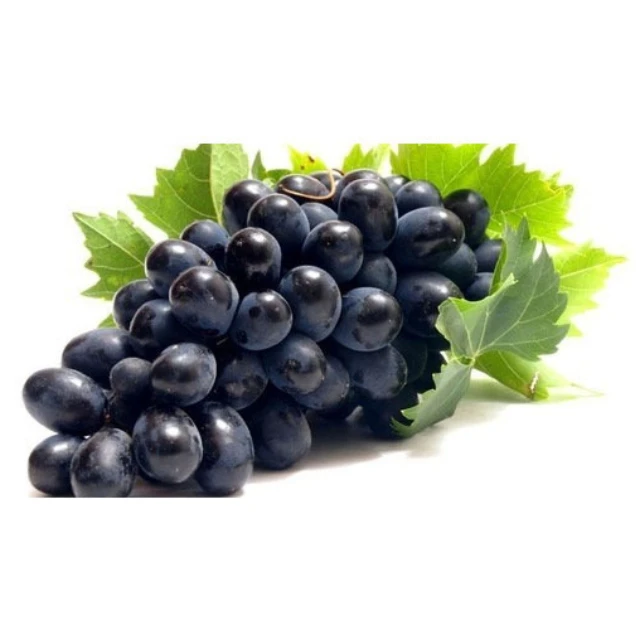  Высококачественный черный виноград без рассады натуральные вкусные сухие фрукты от поставщика сладкая черная виноградная слива для еды