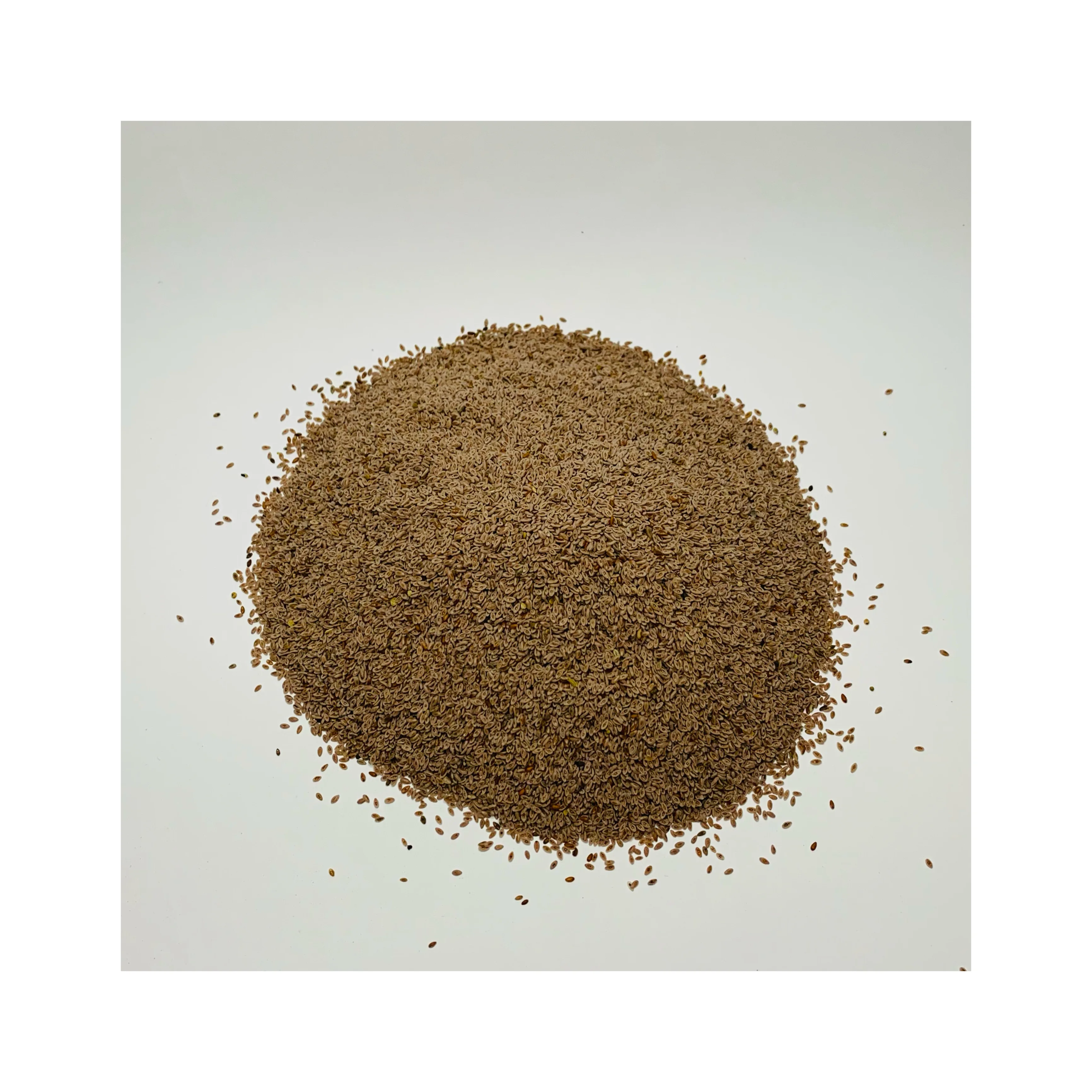 Чистый экстракт семян псиллий 99% оптовая продажа Isagbol органические семена забота о здоровье большое количество розничная