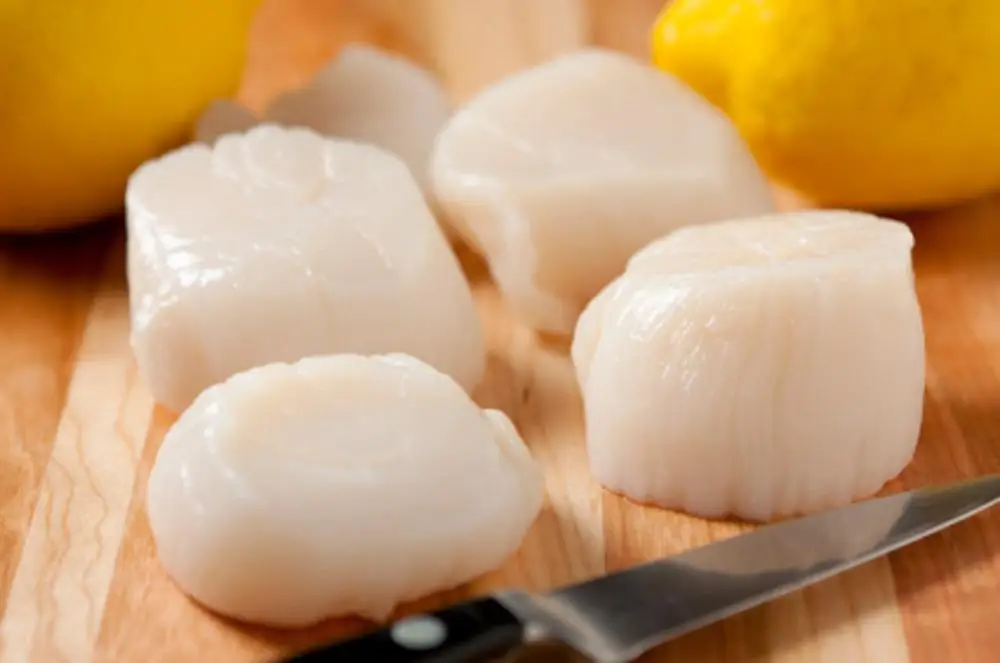 Frozen scallop