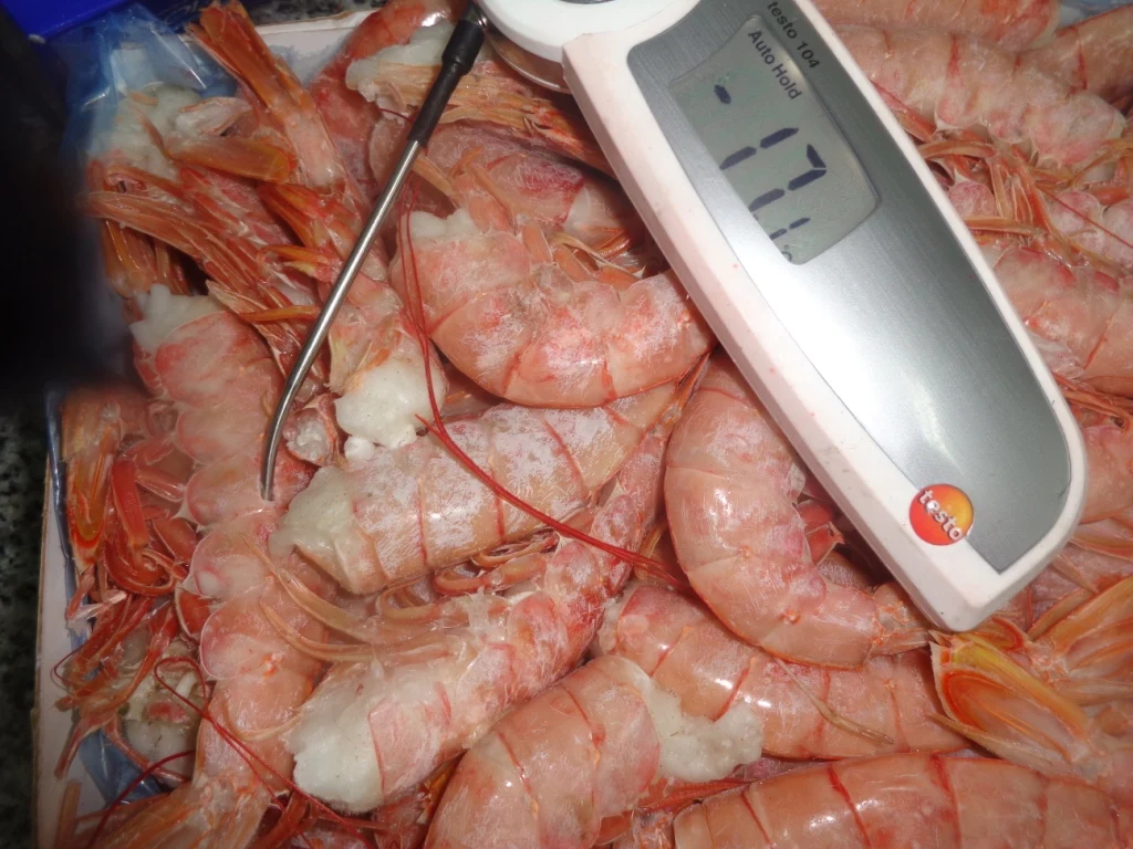 FROZEN RED SHRIMP -HEAD ON SHELL ON AND HEADLESS SHELL ON MOST POPULAR STANDARD QUALITY