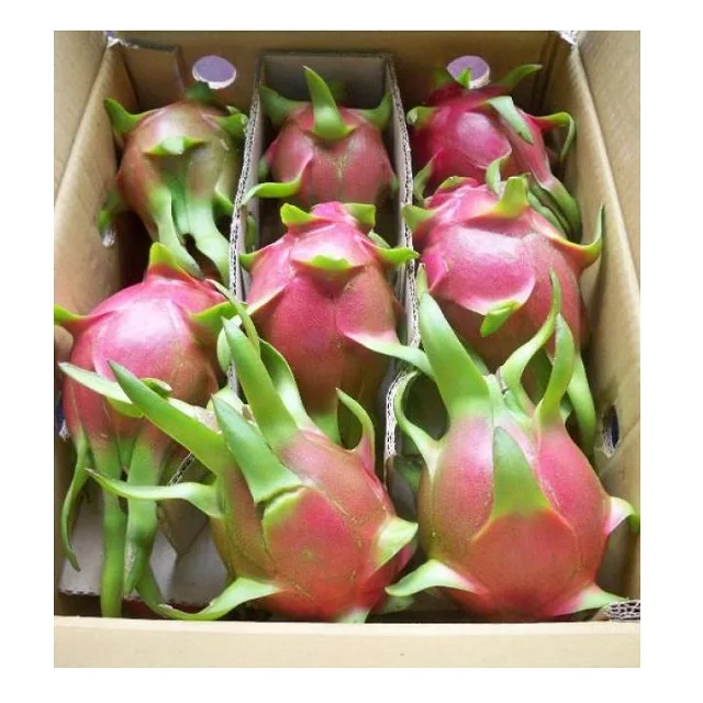 Best chance to buy fresh pitaya from Vietnam