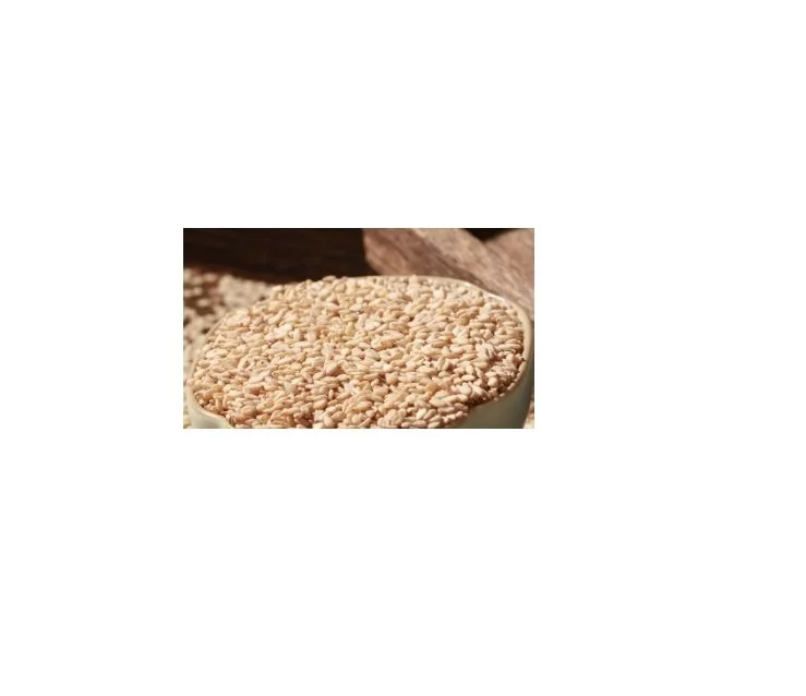 Fresh Sesame High Quality Ready to Ship